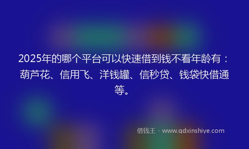 2025年的哪个平台可以快速借到钱不看年龄有：葫芦花、信用飞、洋钱罐、信秒贷、钱袋快借通等。