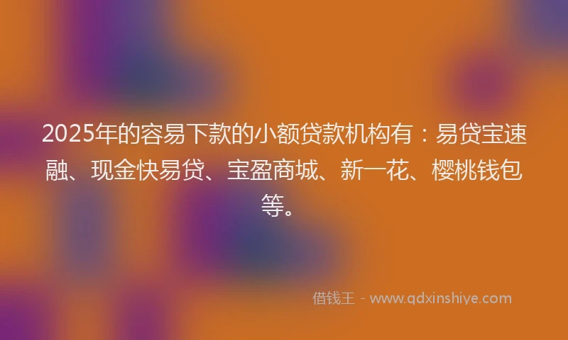 2025年的容易下款的小额贷款机构有：易贷宝速融、现金快易贷、宝盈商城、新一花、樱桃钱包等。
