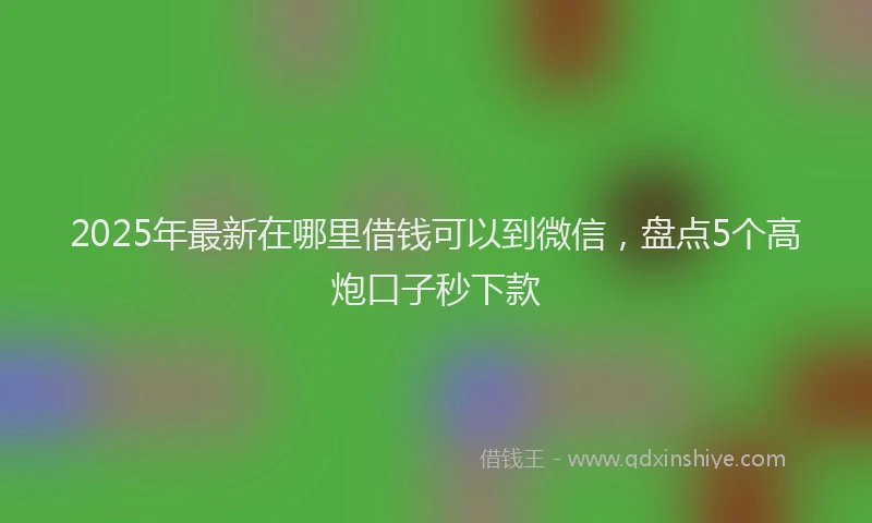 2025年最新在哪里借钱可以到微信，盘点5个高炮口子秒下款
