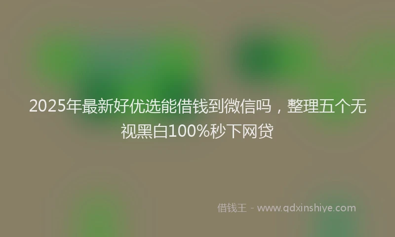 2025年最新好优选能借钱到微信吗，整理五个无视黑白100%秒下网贷