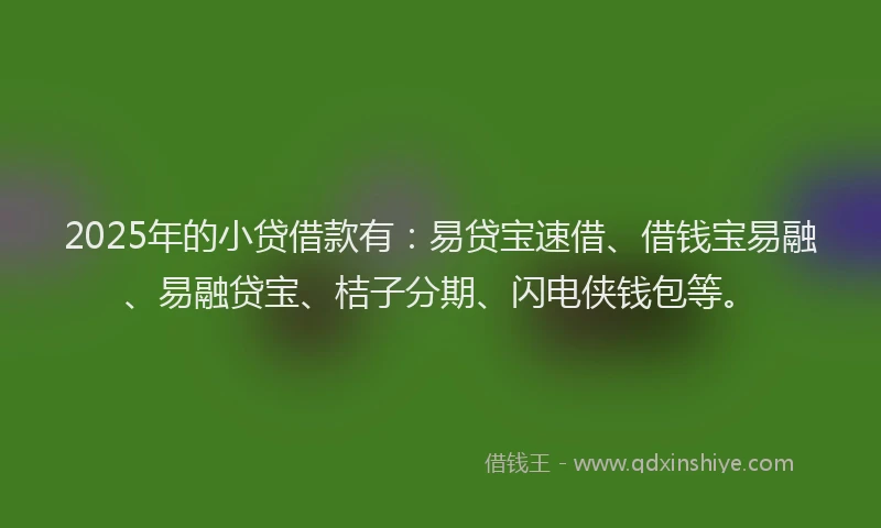 2025年的小贷借款有：易贷宝速借、借钱宝易融、易融贷宝、桔子分期、闪电侠钱包等。