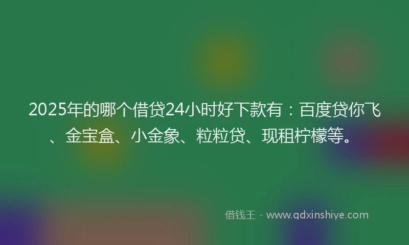 2025年的哪个借贷24小时好下款有：百度贷你飞、金宝盒、小金象、粒粒贷、现租柠檬等。