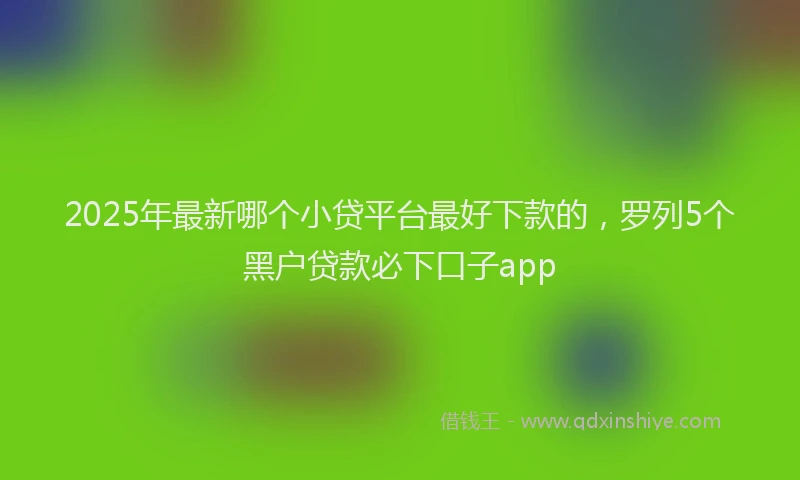 2025年最新哪个小贷平台最好下款的，罗列5个黑户贷款必下口子app