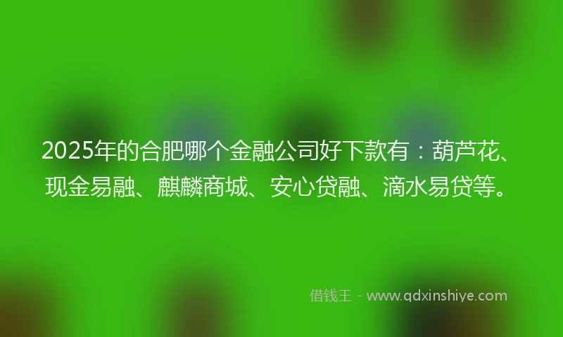 2025年的合肥哪个金融公司好下款有：葫芦花、现金易融、麒麟商城、安心贷融、滴水易贷等。