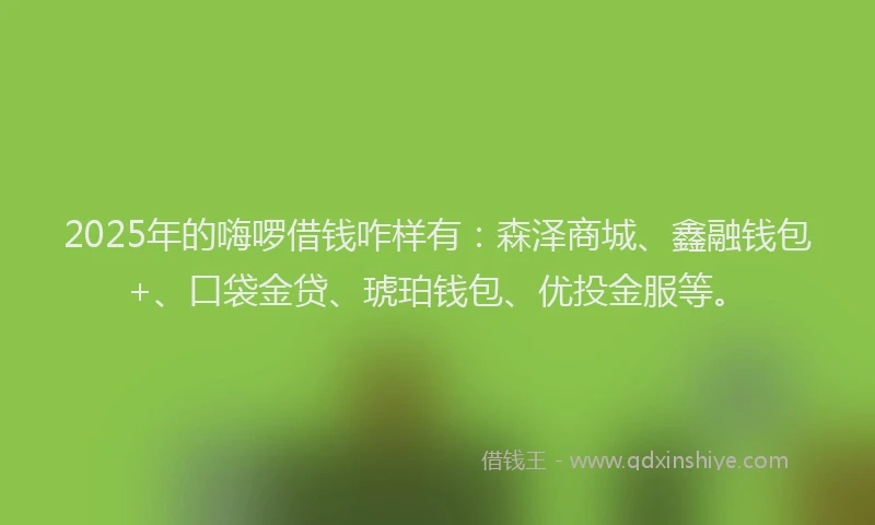 2025年的嗨啰借钱咋样有：森泽商城、鑫融钱包+、口袋金贷、琥珀钱包、优投金服等。