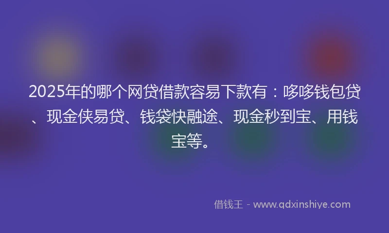 2025年的哪个网贷借款容易下款有：哆哆钱包贷、现金侠易贷、钱袋快融途、现金秒到宝、用钱宝等。