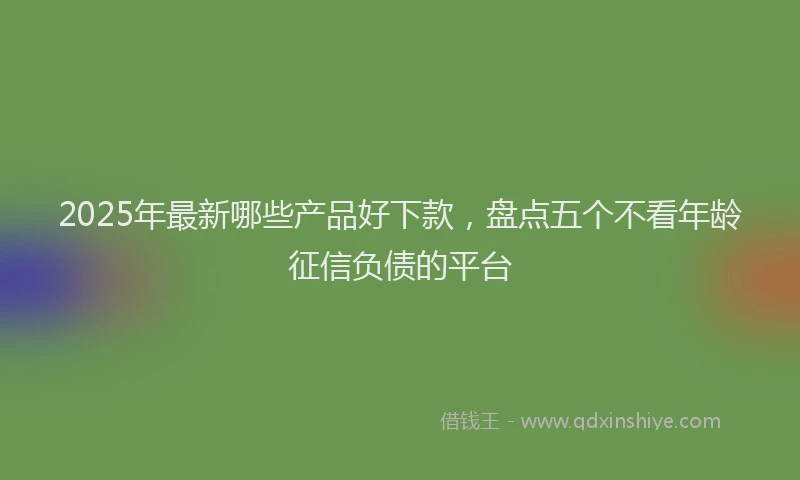 2025年最新哪些产品好下款，盘点五个不看年龄征信负债的平台