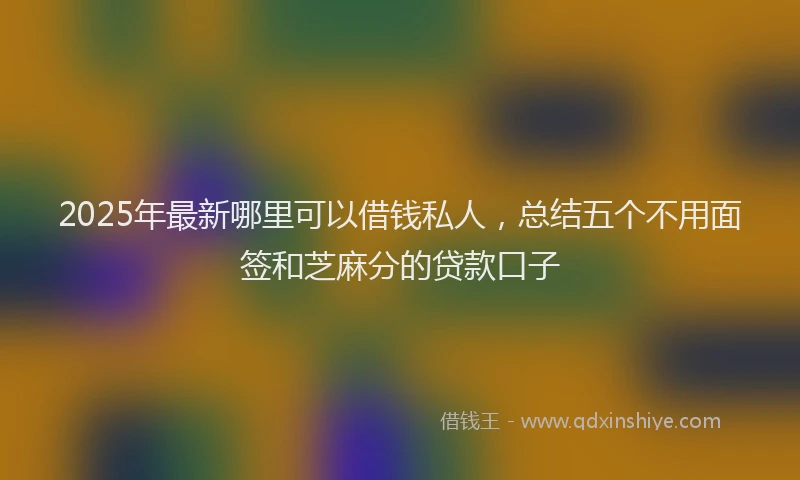 2025年最新哪里可以借钱私人，总结五个不用面签和芝麻分的贷款口子