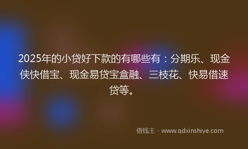 2025年的小贷好下款的有哪些有：分期乐、现金侠快借宝、现金易贷宝盒融、三枝花、快易借速贷等。
