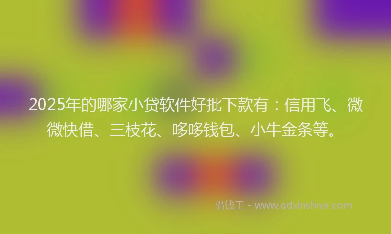 2025年的哪家小贷软件好批下款有：信用飞、微微快借、三枝花、哆哆钱包、小牛金条等。