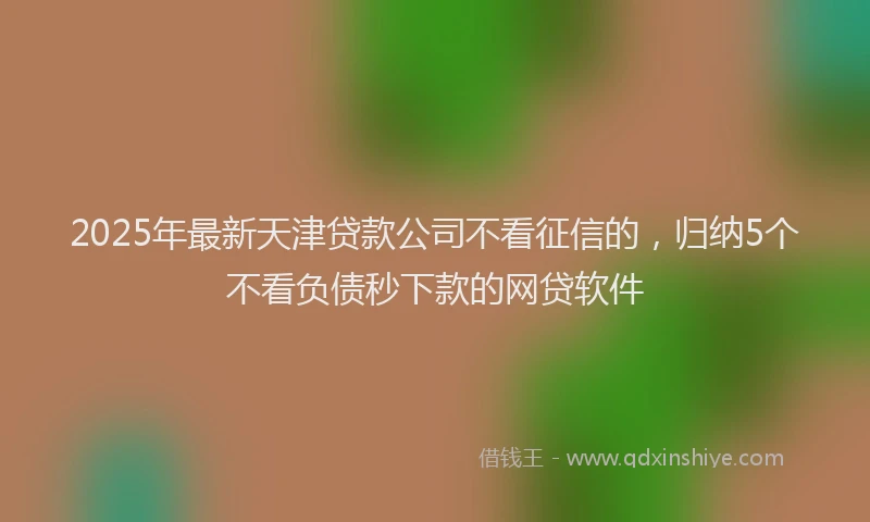 2025年最新天津贷款公司不看征信的，归纳5个不看负债秒下款的网贷软件