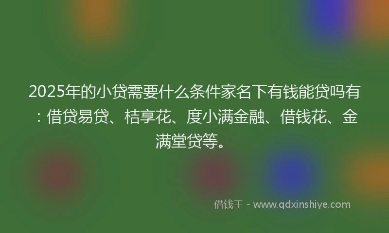 2025年的小贷需要什么条件家名下有钱能贷吗有：借贷易贷、桔享花、度小满金融、借钱花、金满堂贷等。