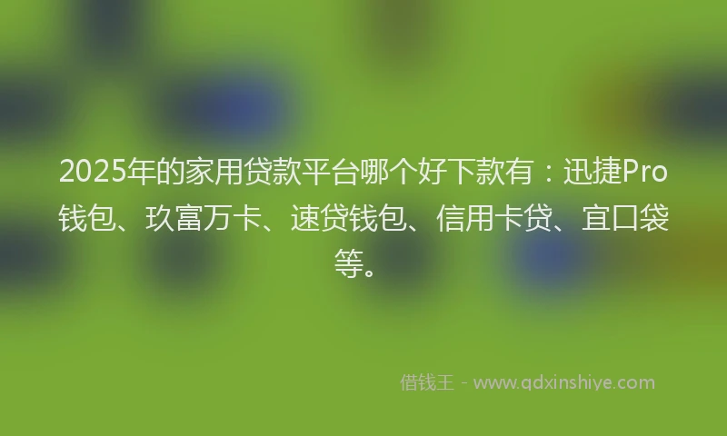 2025年的家用贷款平台哪个好下款有：迅捷Pro钱包、玖富万卡、速贷钱包、信用卡贷、宜口袋等。