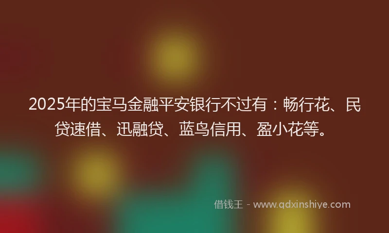 2025年的宝马金融平安银行不过有：畅行花、民贷速借、迅融贷、蓝鸟信用、盈小花等。