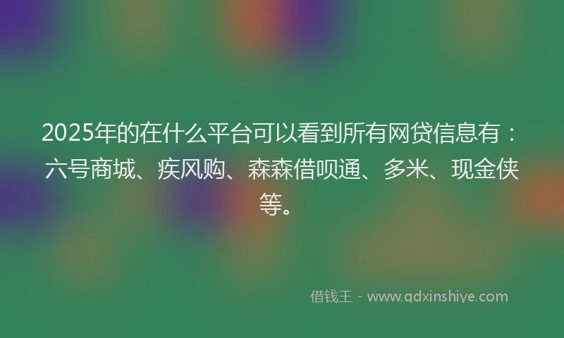 2025年的在什么平台可以看到所有网贷信息有：六号商城、疾风购、森森借呗通、多米、现金侠等。