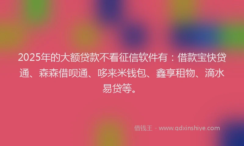 2025年的大额贷款不看征信软件有：借款宝快贷通、森森借呗通、哆来米钱包、鑫享租物、滴水易贷等。