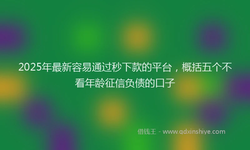 2025年最新容易通过秒下款的平台，概括五个不看年龄征信负债的口子