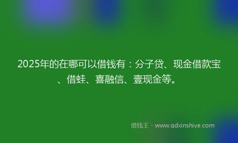 2025年的在哪可以借钱有：分子贷、现金借款宝、借蛙、喜融信、壹现金等。