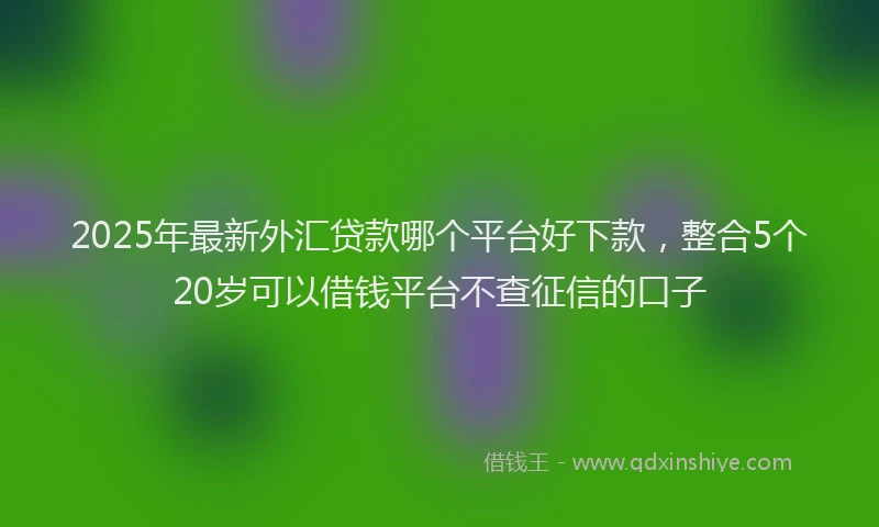 2025年最新外汇贷款哪个平台好下款，整合5个20岁可以借钱平台不查征信的口子