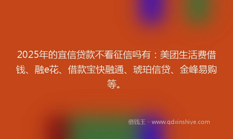 2025年的宜信贷款不看征信吗有：美团生活费借钱、融e花、借款宝快融通、琥珀信贷、金峰易购等。