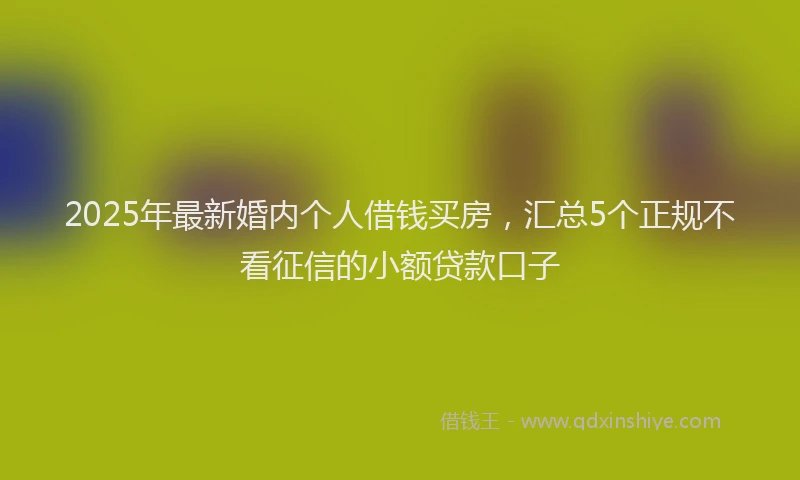 2025年最新婚内个人借钱买房，汇总5个正规不看征信的小额贷款口子