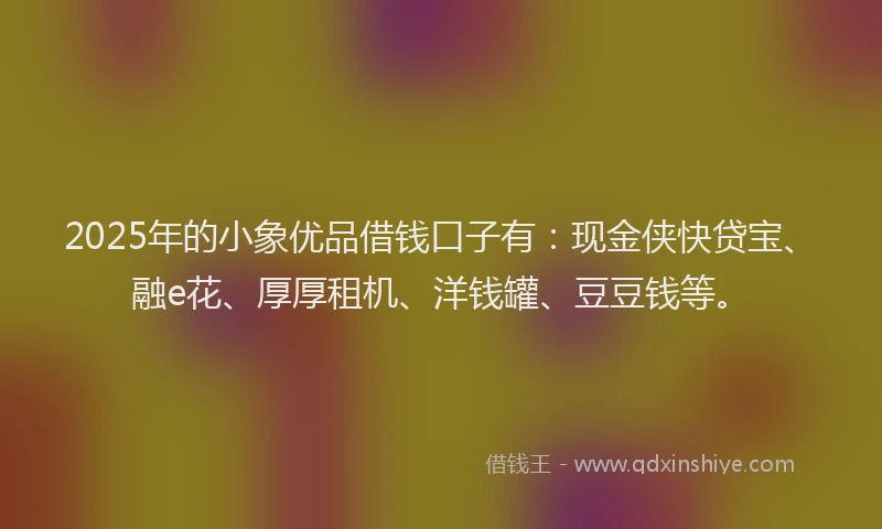 2025年的小象优品借钱口子有：现金侠快贷宝、融e花、厚厚租机、洋钱罐、豆豆钱等。