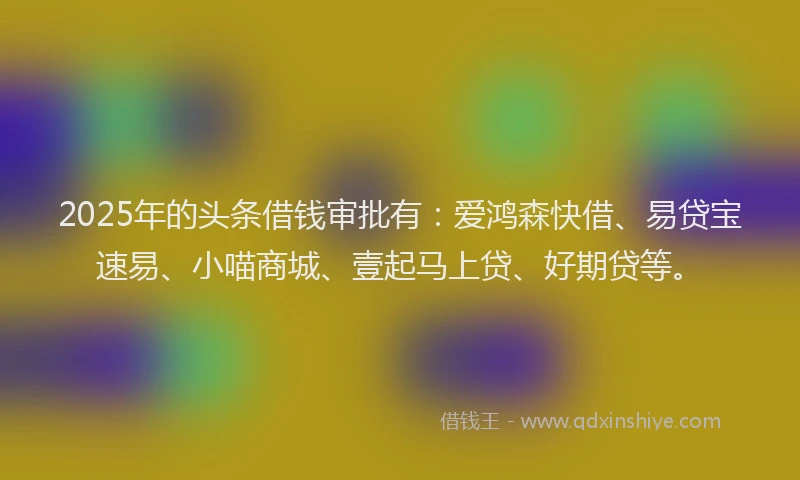 2025年的头条借钱审批有：爱鸿森快借、易贷宝速易、小喵商城、壹起马上贷、好期贷等。
