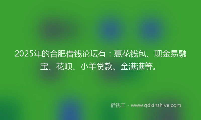 2025年的合肥借钱论坛有：惠花钱包、现金易融宝、花呗、小羊贷款、金满满等。