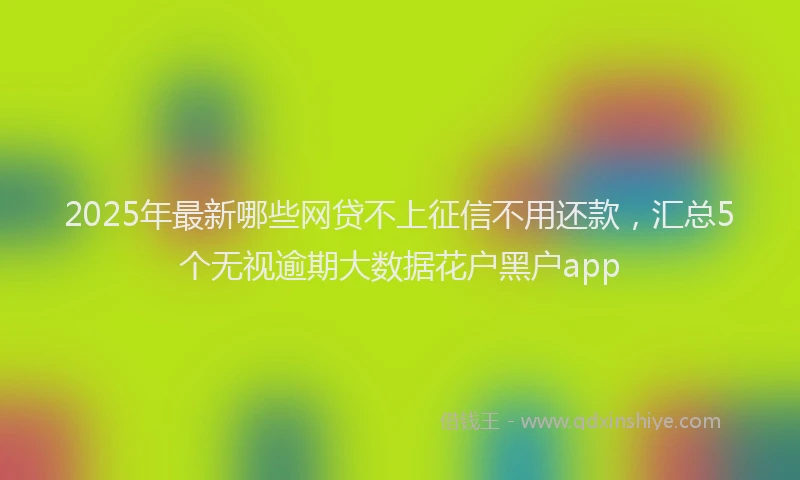 2025年最新哪些网贷不上征信不用还款，汇总5个无视逾期大数据花户黑户app