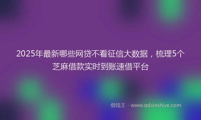 2025年最新哪些网贷不看征信大数据，梳理5个芝麻借款实时到账速借平台