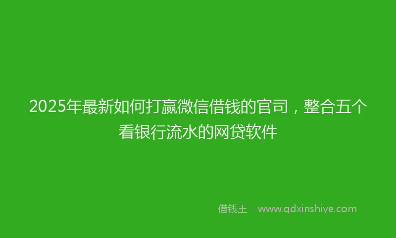 2025年最新如何打赢微信借钱的官司，整合五个看银行流水的网贷软件