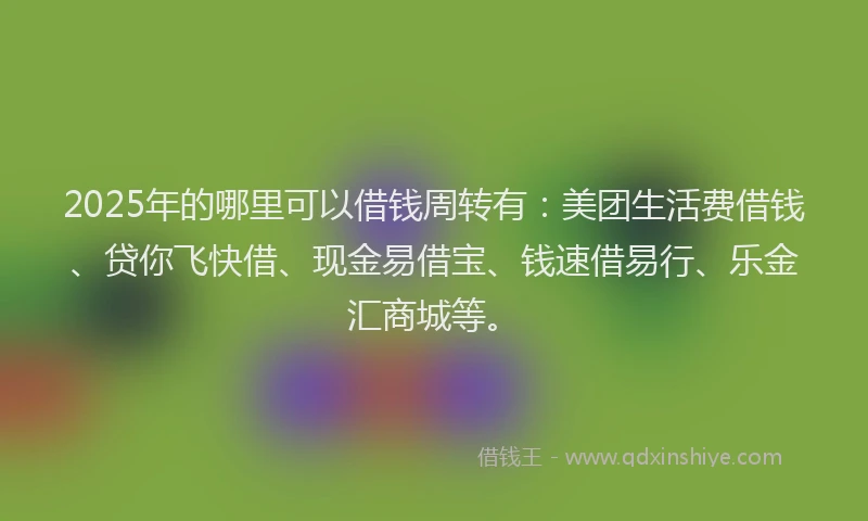2025年的哪里可以借钱周转有：美团生活费借钱、贷你飞快借、现金易借宝、钱速借易行、乐金汇商城等。