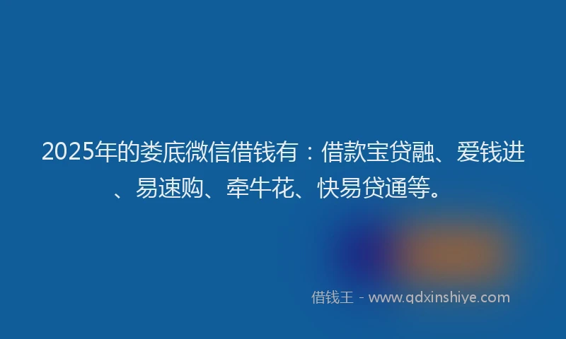 2025年的娄底微信借钱有：借款宝贷融、爱钱进、易速购、牵牛花、快易贷通等。
