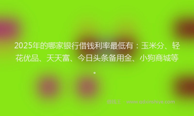 2025年的哪家银行借钱利率最低有：玉米分、轻花优品、天天富、今日头条备用金、小狗商城等。