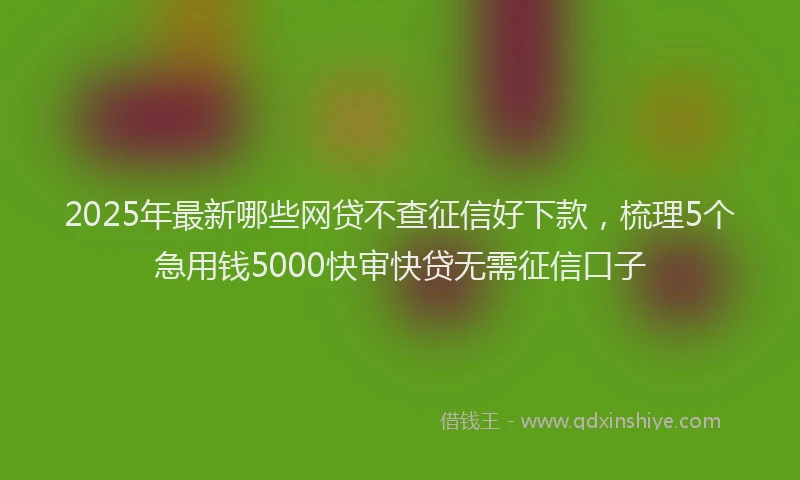 2025年最新哪些网贷不查征信好下款，梳理5个急用钱5000快审快贷无需征信口子