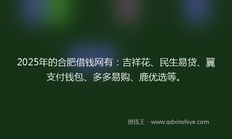 2025年的合肥借钱网有：吉祥花、民生易贷、翼支付钱包、多多易购、鹿优选等。