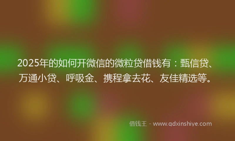 2025年的如何开微信的微粒贷借钱有:甄信贷、万通小贷、呼吸金、携程拿去花、友佳精选等。