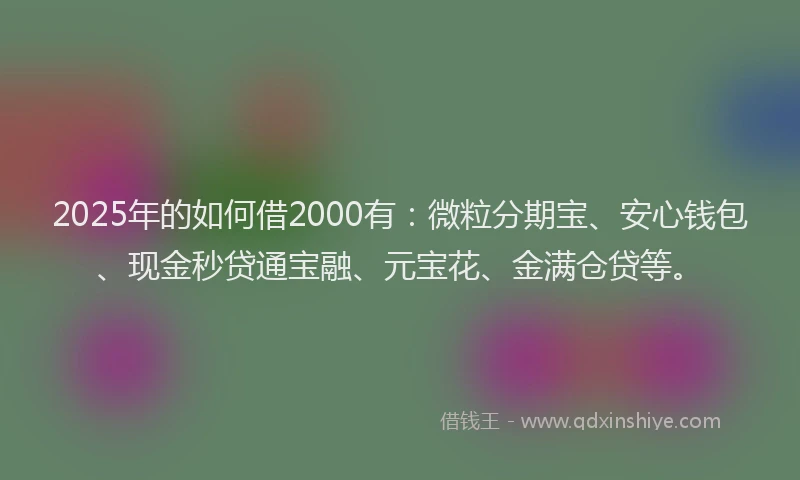 2025年的如何借2000有：微粒分期宝、安心钱包、现金秒贷通宝融、元宝花、金满仓贷等。