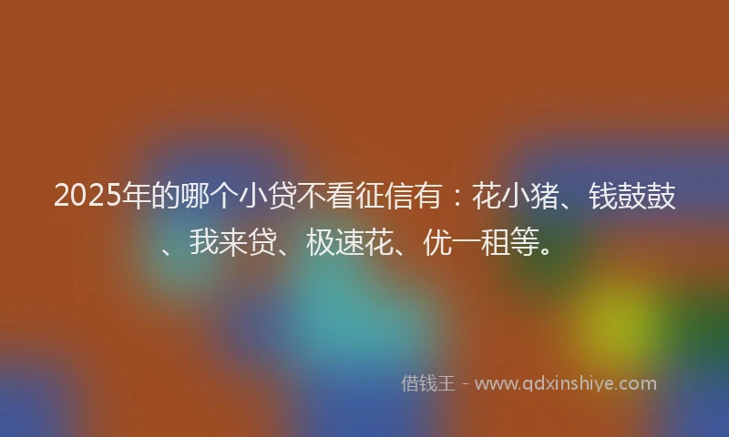 2025年的哪个小贷不看征信有：花小猪、钱鼓鼓、我来贷、极速花、优一租等。