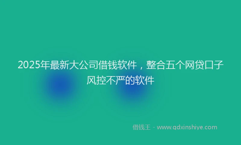 2025年最新大公司借钱软件，整合五个网贷口子风控不严的软件