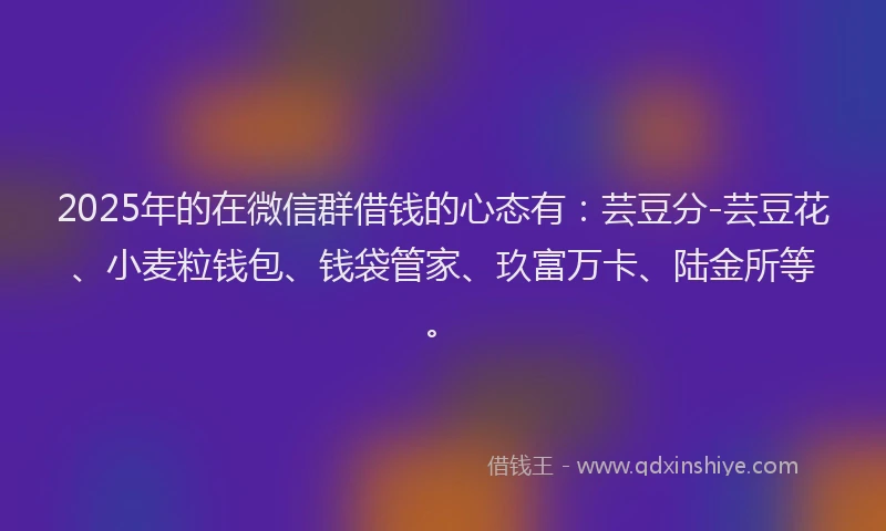 2025年的在微信群借钱的心态有：芸豆分-芸豆花、小麦粒钱包、钱袋管家、玖富万卡、陆金所等。