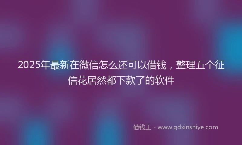 2025年最新在微信怎么还可以借钱，整理五个征信花居然都下款了的软件
