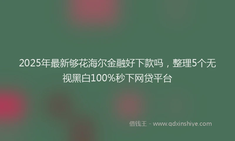 2025年最新够花海尔金融好下款吗，整理5个无视黑白100%秒下网贷平台