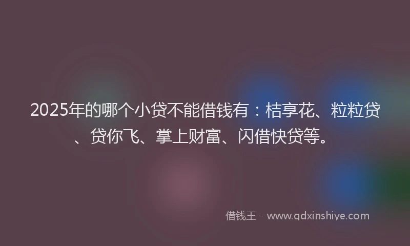 2025年的哪个小贷不能借钱有：桔享花、粒粒贷、贷你飞、掌上财富、闪借快贷等。