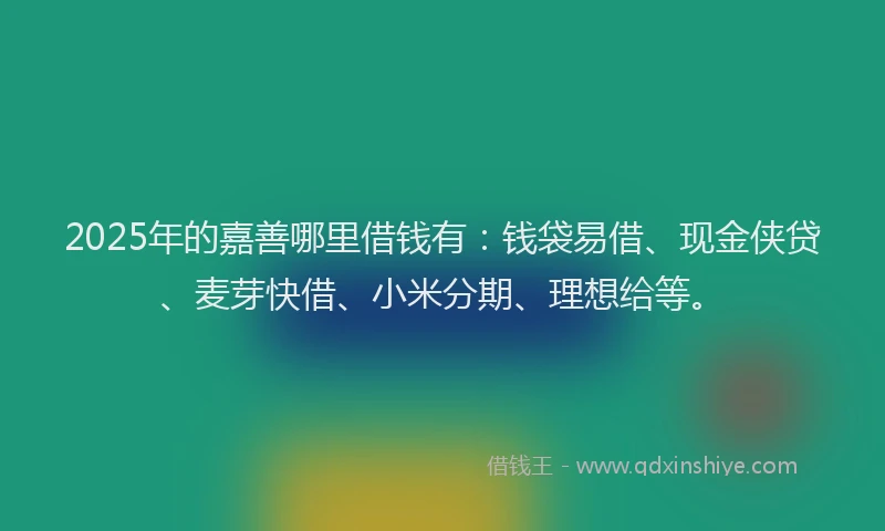 2025年的嘉善哪里借钱有：钱袋易借、现金侠贷、麦芽快借、小米分期、理想给等。