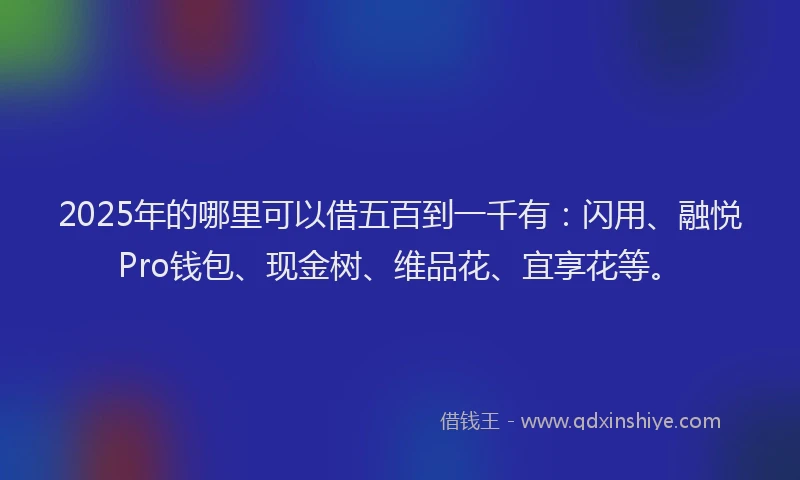 2025年的哪里可以借五百到一千有：闪用、融悦Pro钱包、现金树、维品花、宜享花等。