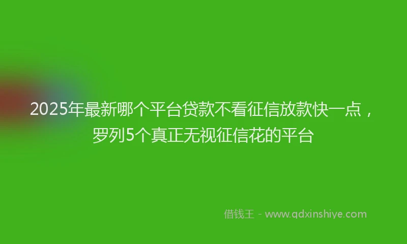 2025年最新哪个平台贷款不看征信放款快一点，罗列5个真正无视征信花的平台