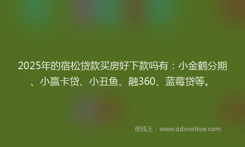 2025年的宿松贷款买房好下款吗有：小金鹤分期、小赢卡贷、小丑鱼、融360、蓝莓贷等。