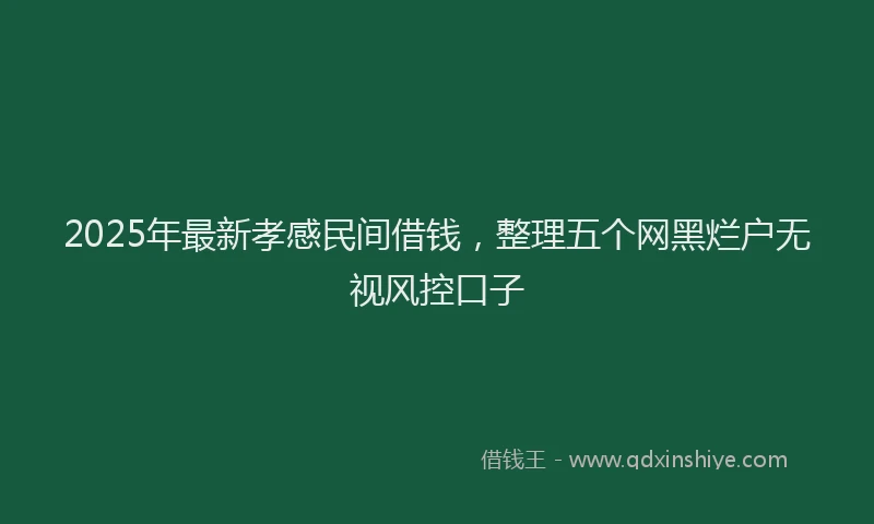 2025年最新孝感民间借钱，整理五个网黑烂户无视风控口子