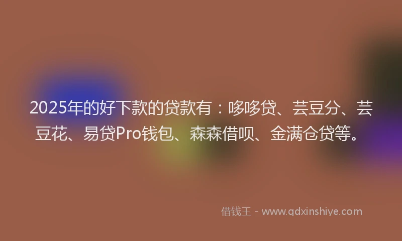 2025年的好下款的贷款有：哆哆贷、芸豆分、芸豆花、易贷Pro钱包、森森借呗、金满仓贷等。